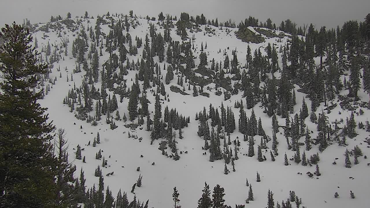 Outpost / Hemlocks